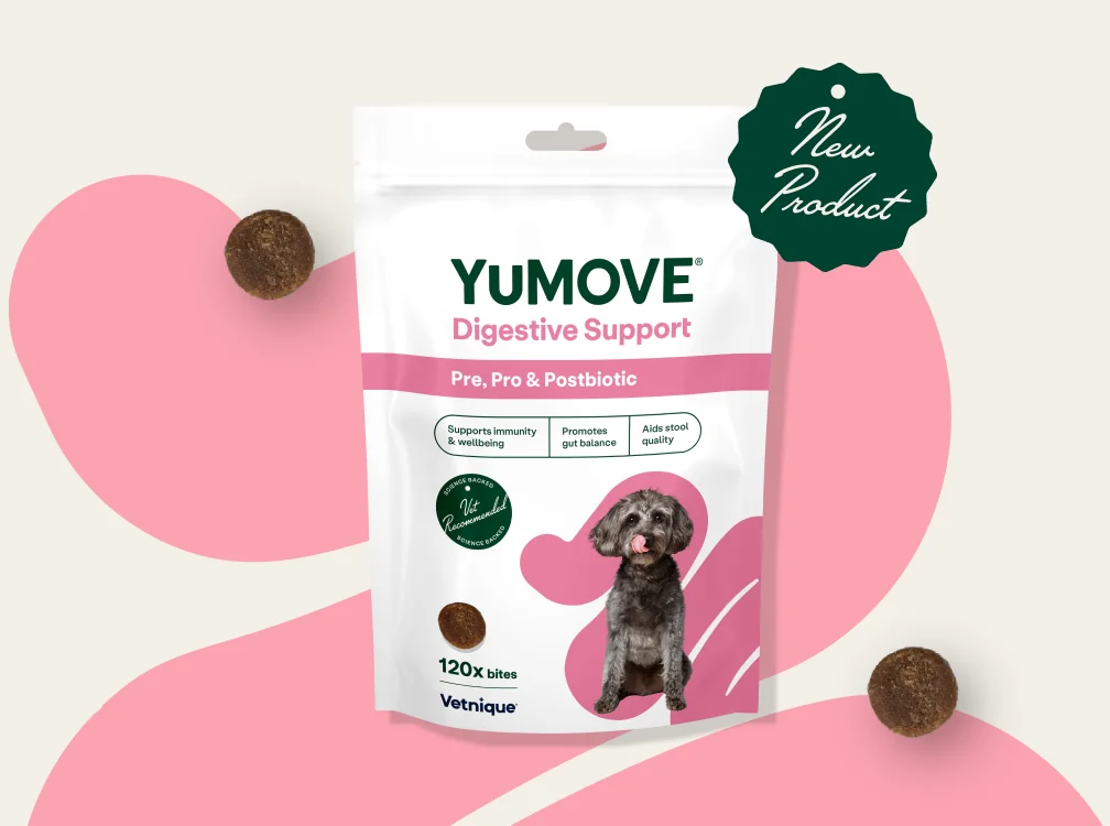 Healthy Joints, Happy Tails